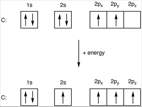 box of electros|orbital box diagram for carbon.